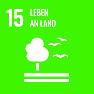 Ziel 15: LEBEN an LAND