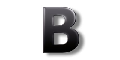 Die beruflichen Tätigkeiten für die SEKTION B 